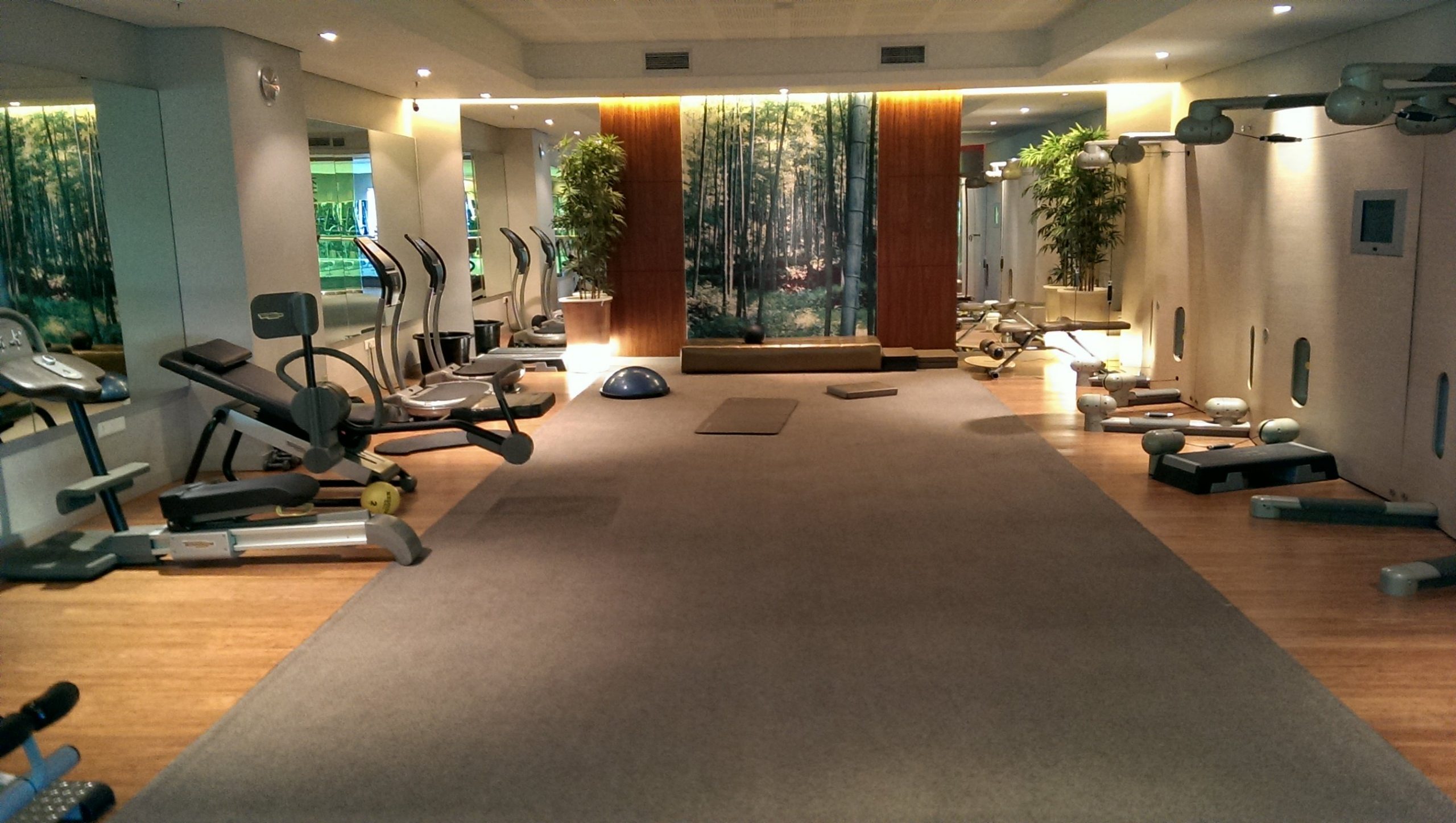 Planet Fitness platinum gym johannesburg