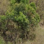 DSC03459