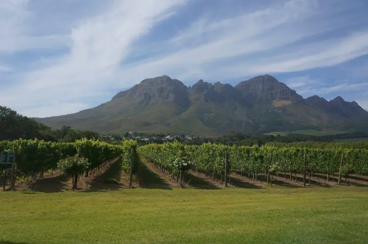 We could have driven straight to Cape Town and did wine farms another day but we were already here . . .