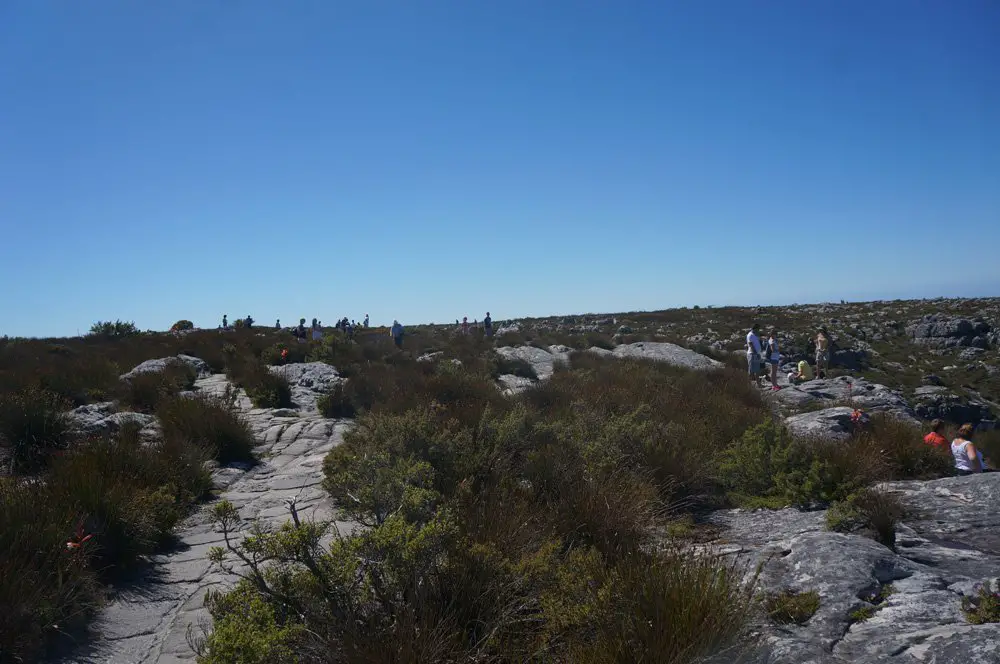 table mountain summit cape town