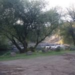 DSC07680