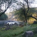 DSC07683