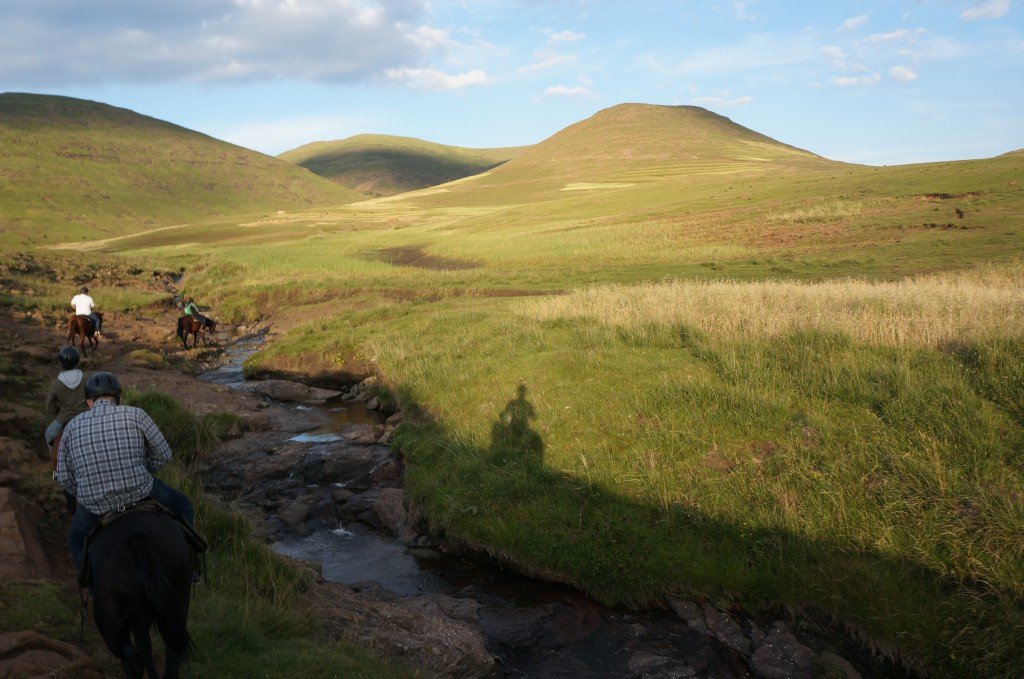 Taking in the views on horseback