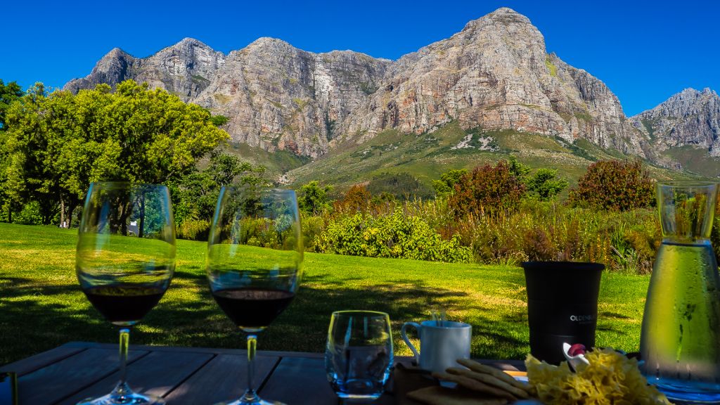 Oldenburg Wine farm stellenbosch cape town