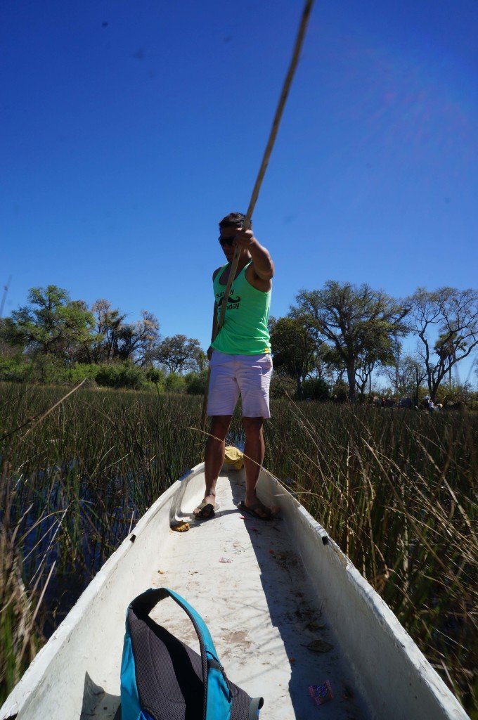 Poling through the Okavango, looking a lot cooler than I really did.