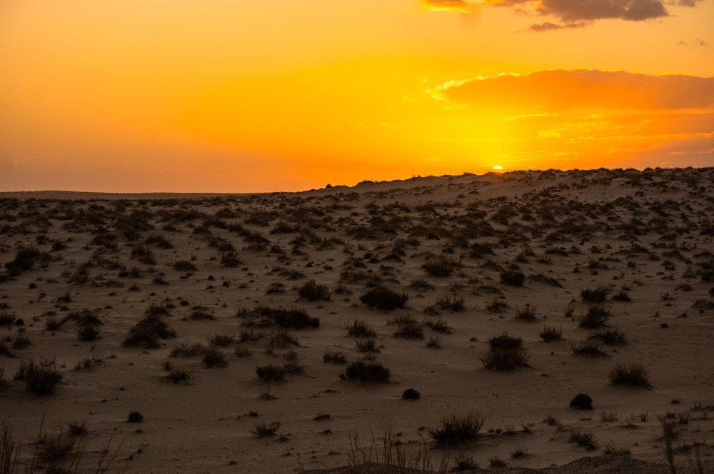sunset tozeur desert tunisia