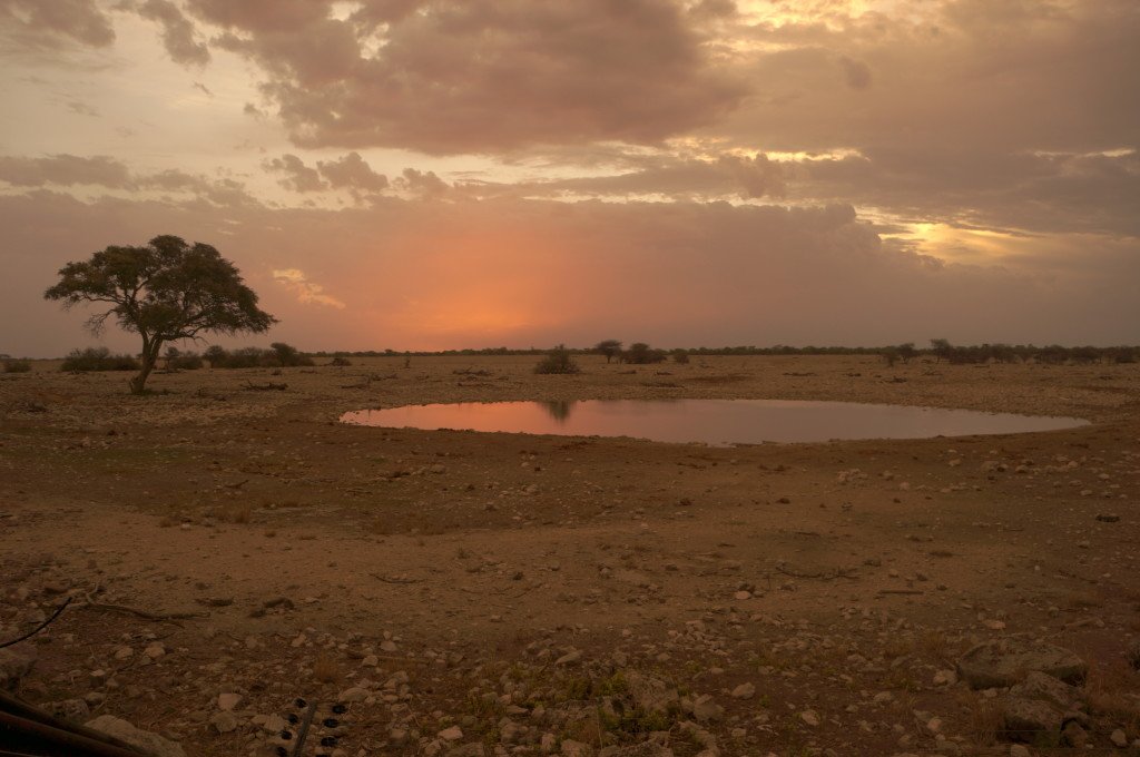 Soaking in the sunset views at our campsite in the Etosa.
