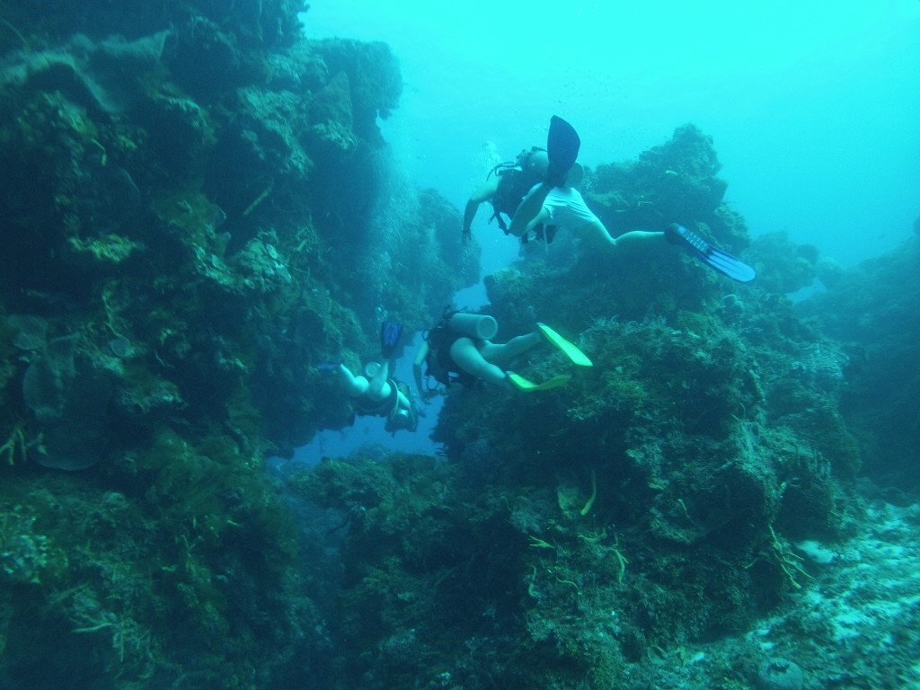 Diving in Cozumel