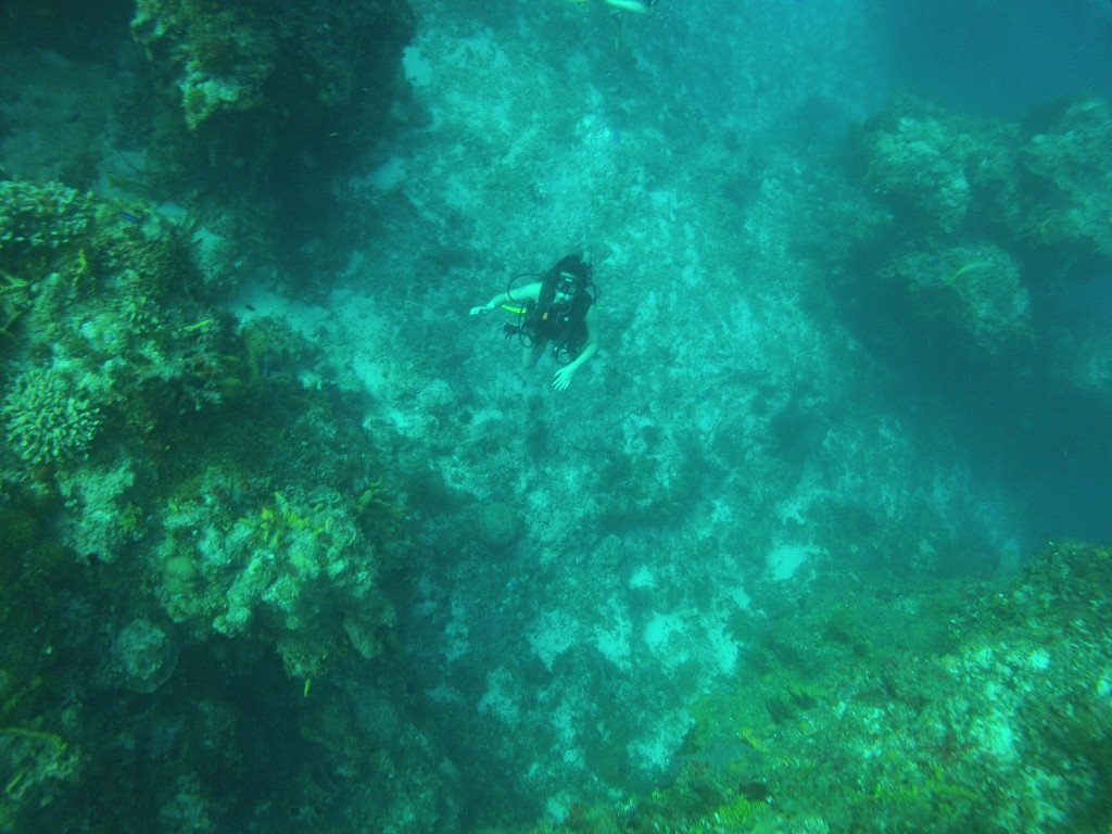 Diving in Cozumel