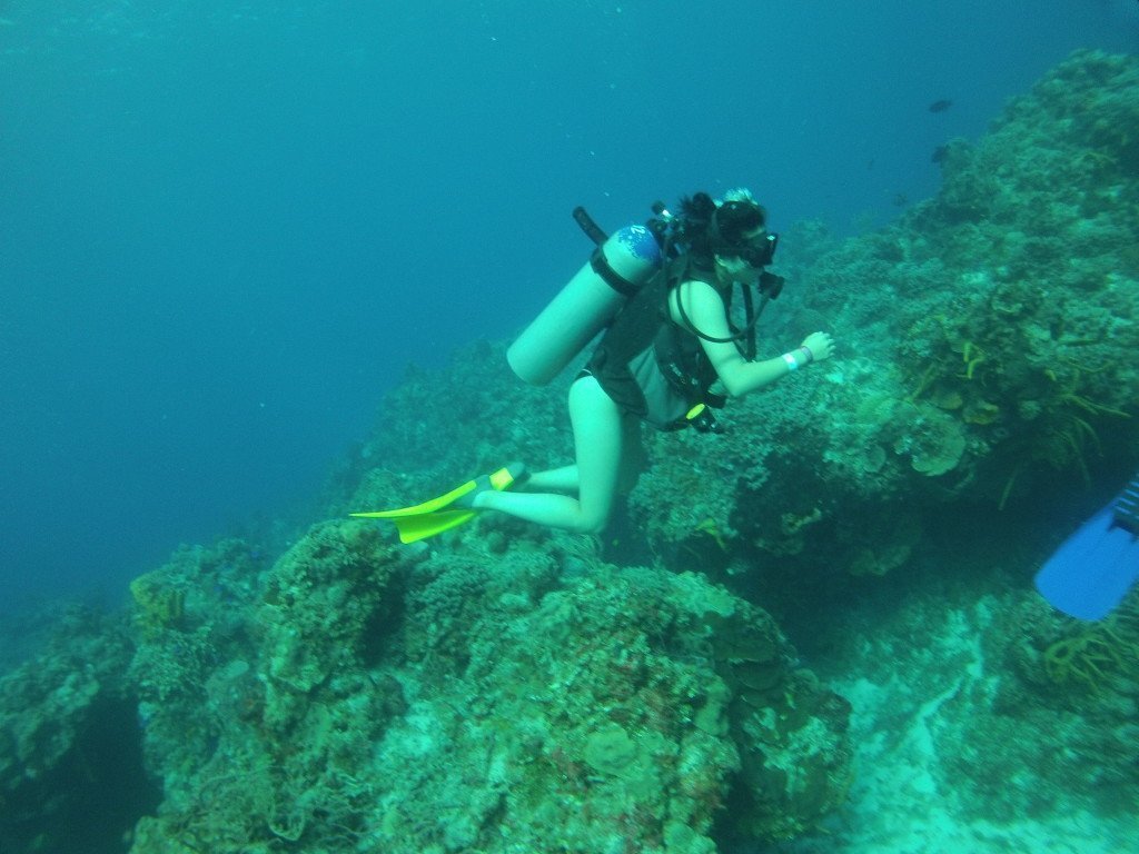 Diving in Cozumel
