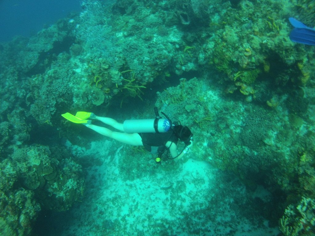 Diving in Cozumel