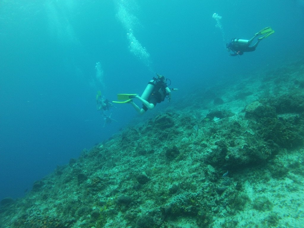 Diving in Cozumel