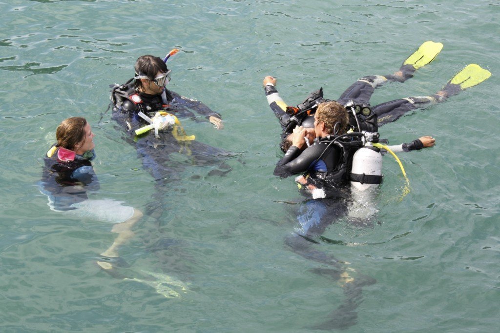 Once again, not a picture I took but this is one of the exercises in the rescue section.