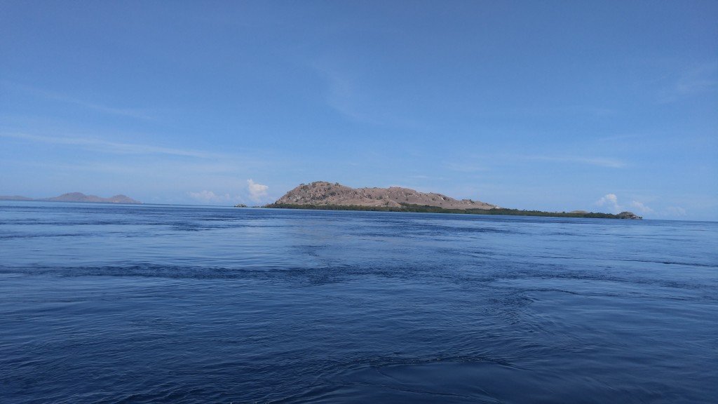 Siaba Kecil Komodo