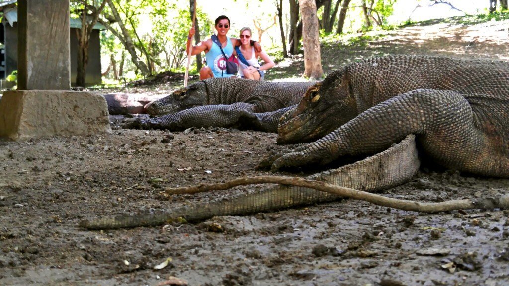 Komodo Dragon Selfie