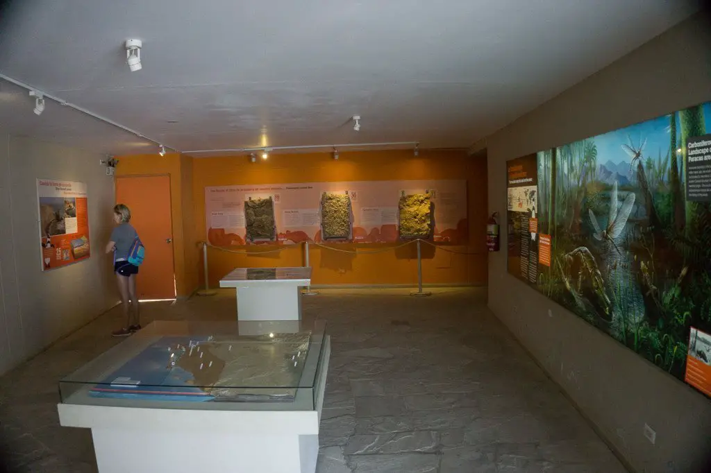 Paracas Museum