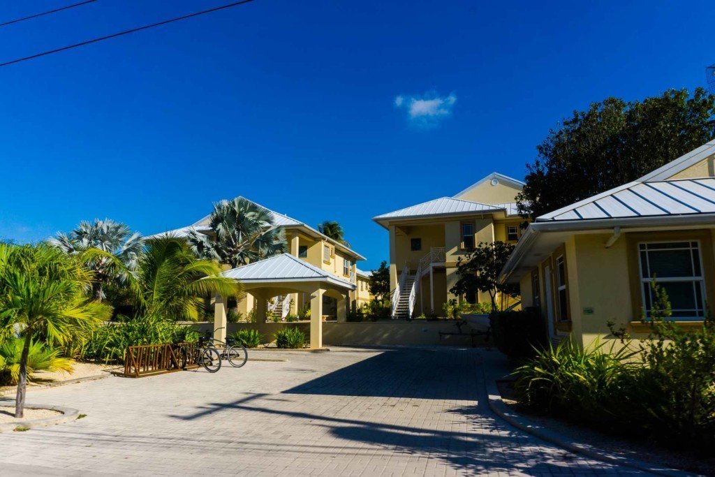 the club little cayman