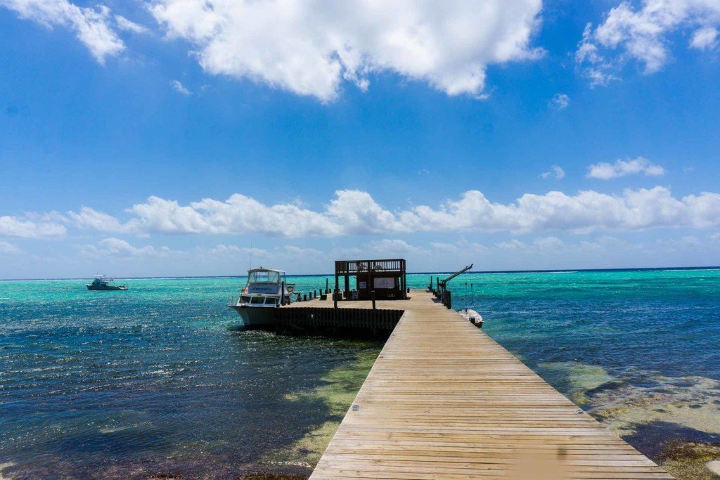 diving little cayman