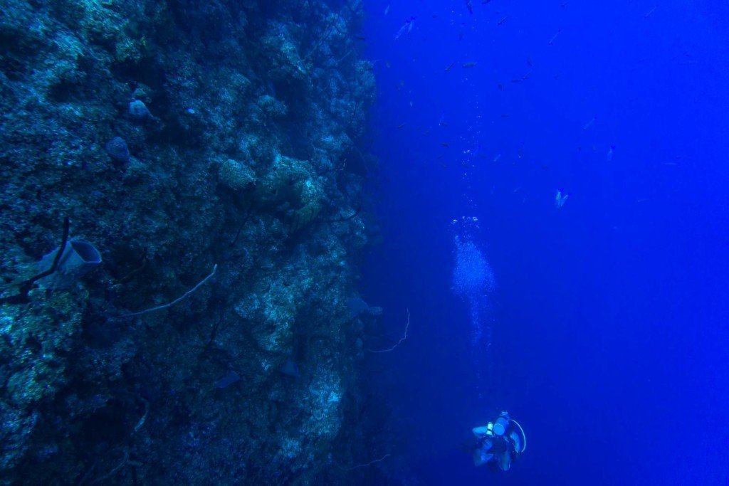 bloody bay wall