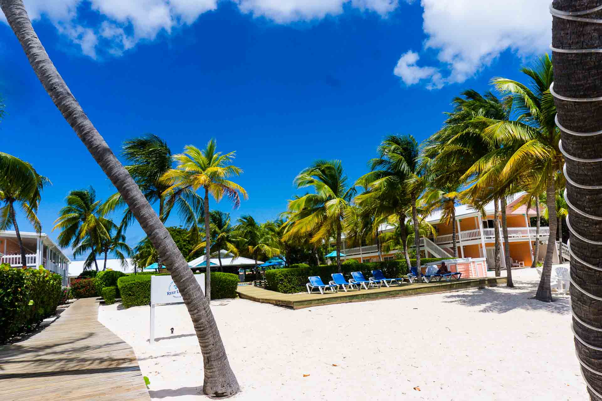 little cayman beach resort