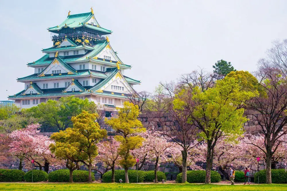 Osaka Castle cherry