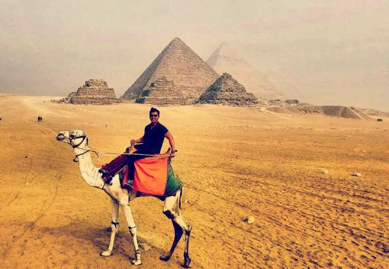 Cairo Pyramids of Giza camel