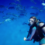jackfish scuba diving turks and caicos