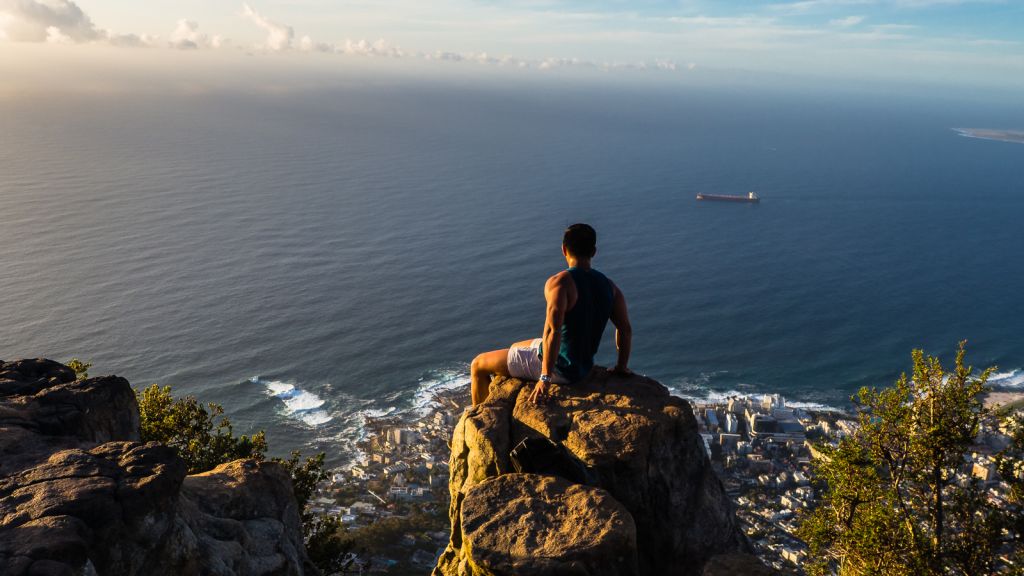 lion's head