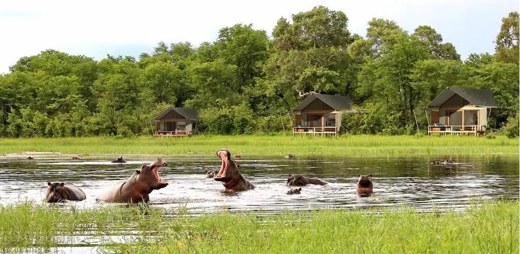 Moremi Game Reserve in the Okavango Delta of Botswana