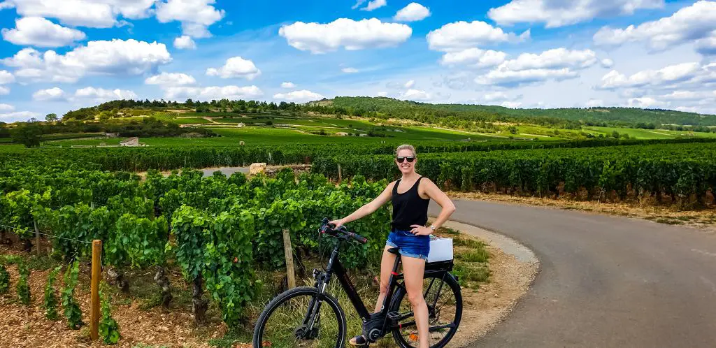 Biking through the vineyards of Burgundy!