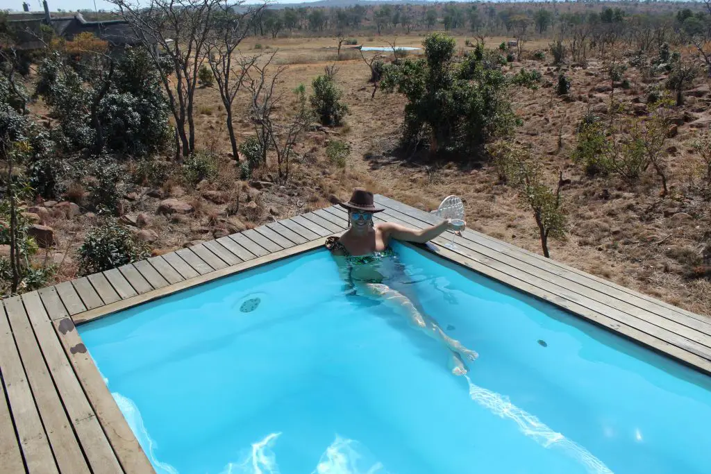 Private pool with a view of the game reserve!