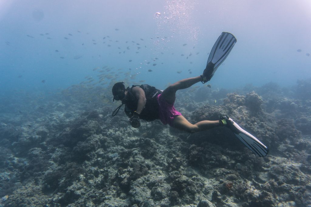 Mnemba Atoll diving scuba