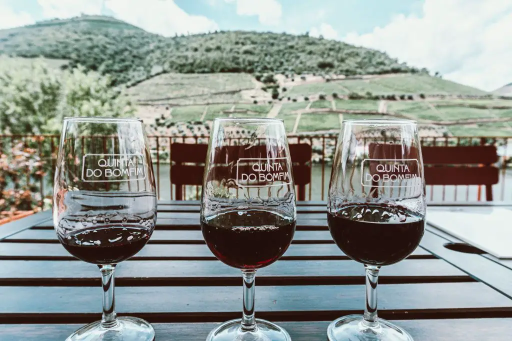 Douro Valley Vineyards wine tasting