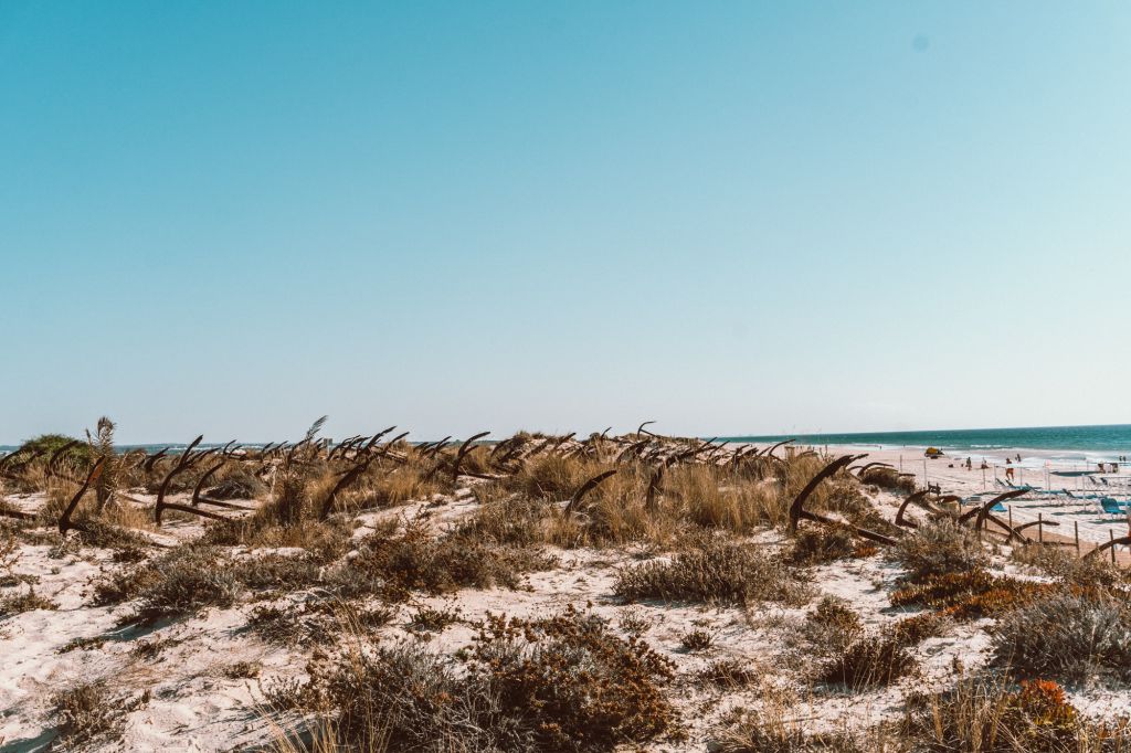 Train praia do Barril portugal algarve