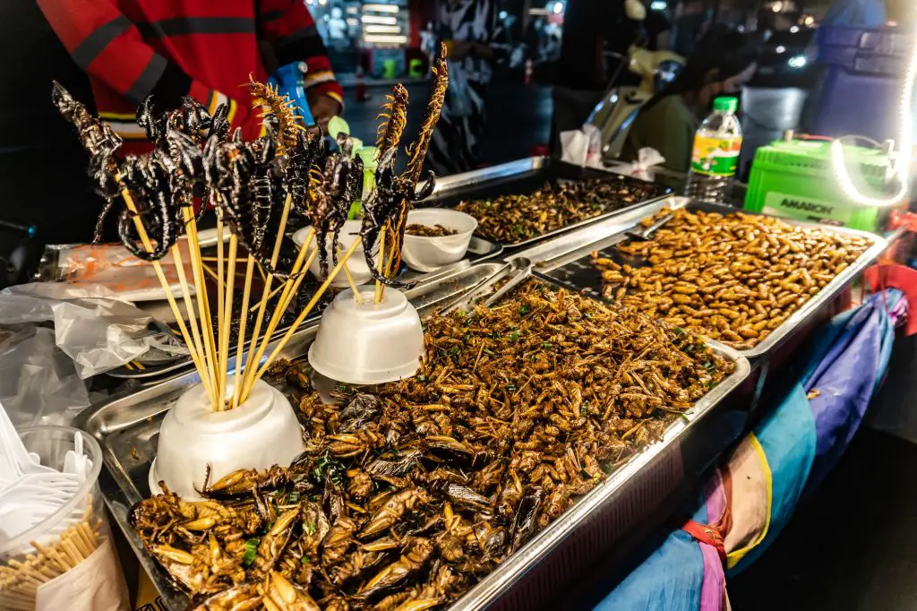 Bangkok Street food insects bugs cockroaches scorpions