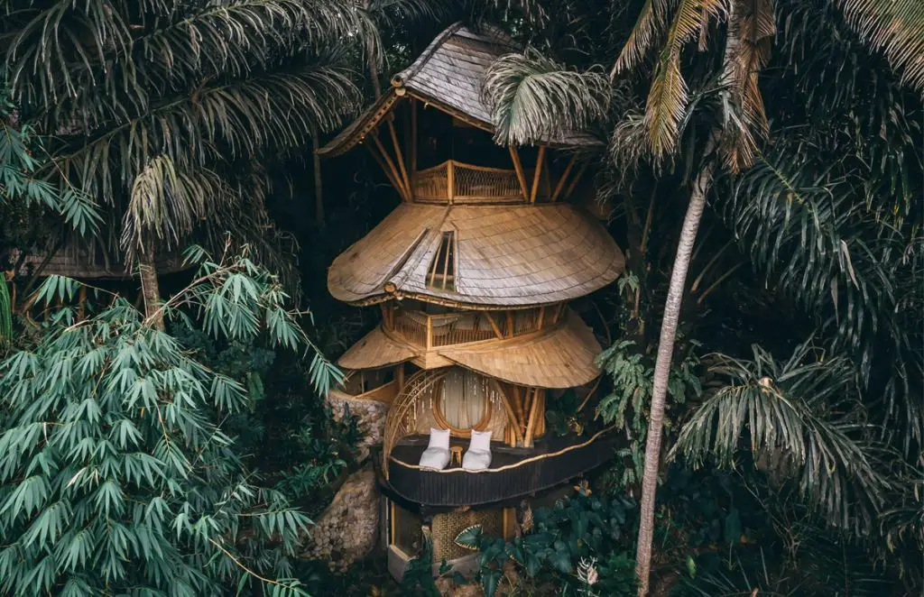 Bali tree house