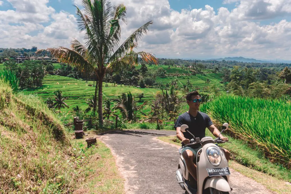 bali scooter rice field Jatiluwih ubud