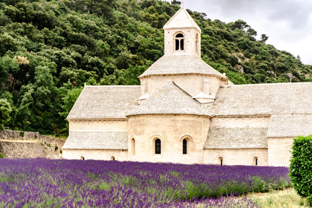 Sénanque Abbey provence lavender