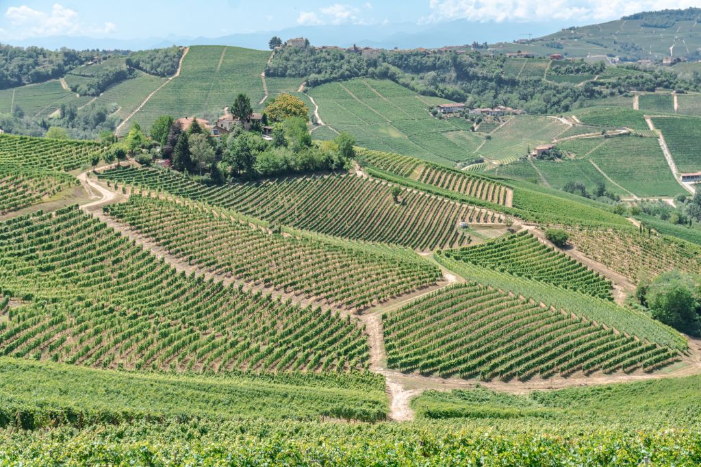 Piedmont Italy wine region views