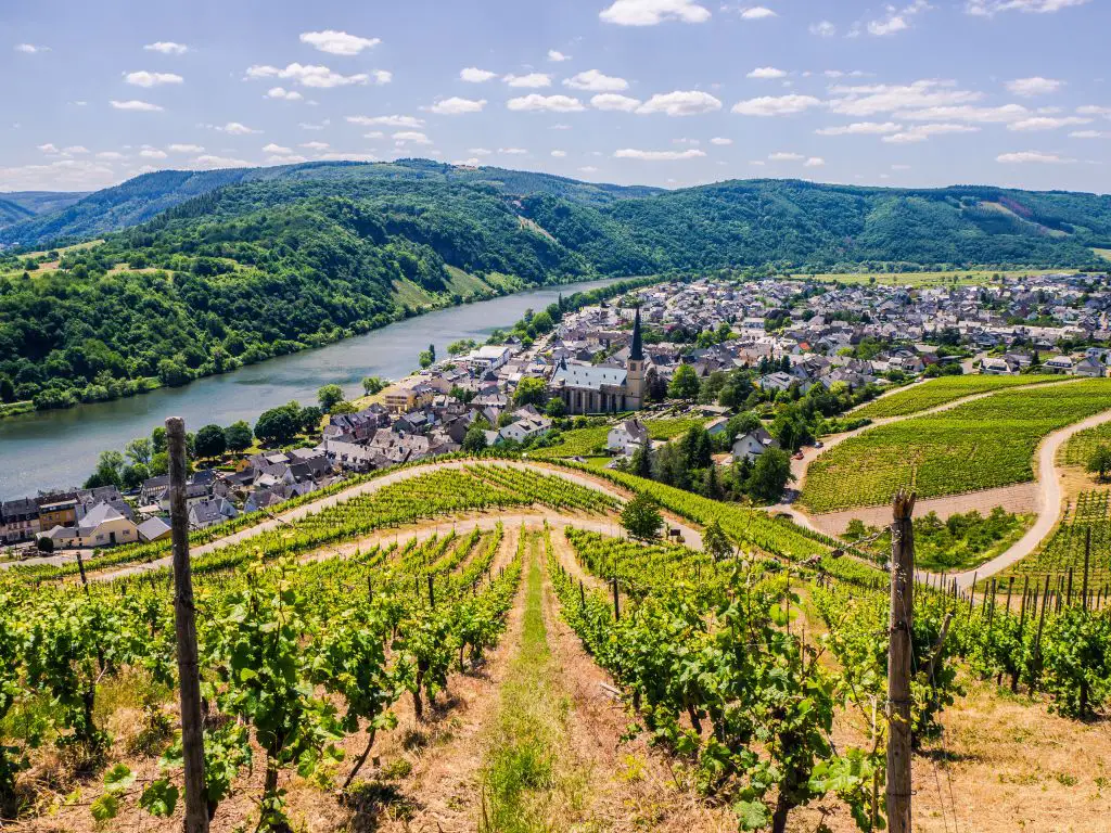 mosel valley germany wine region