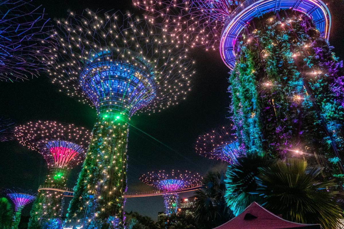 Supertree Forest Singapore Gardens by the Bay
