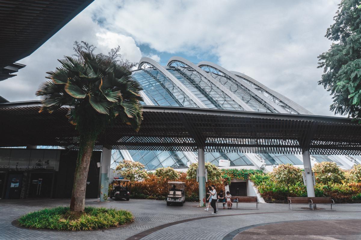 cloud forest  Singapore Gardens by the Bay