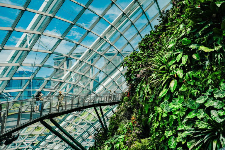Gardens by the bay singapore cloud forest