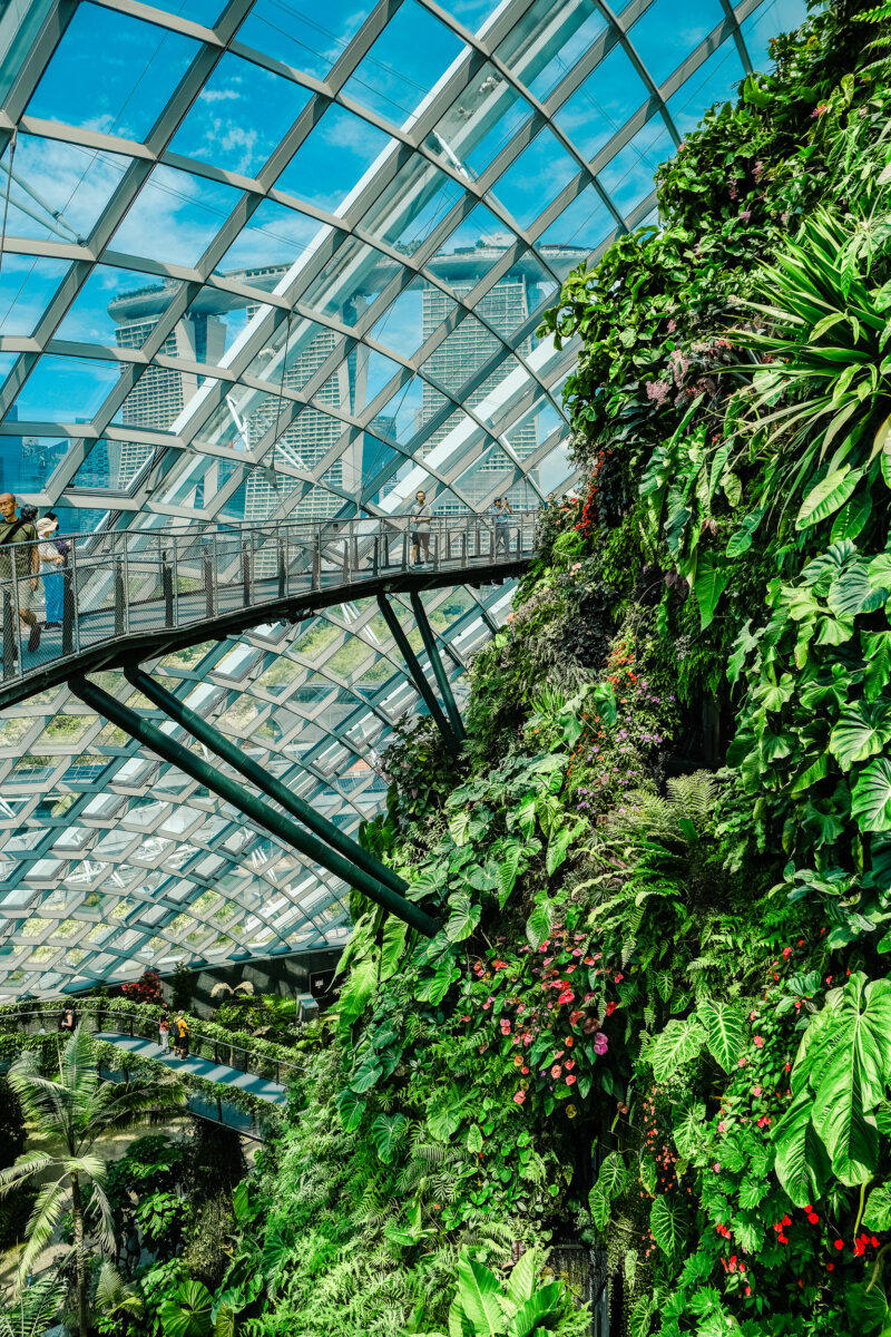 Gardens by the bay singapore cloud forest