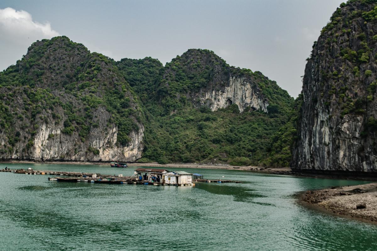 halong bay vietnam cruise