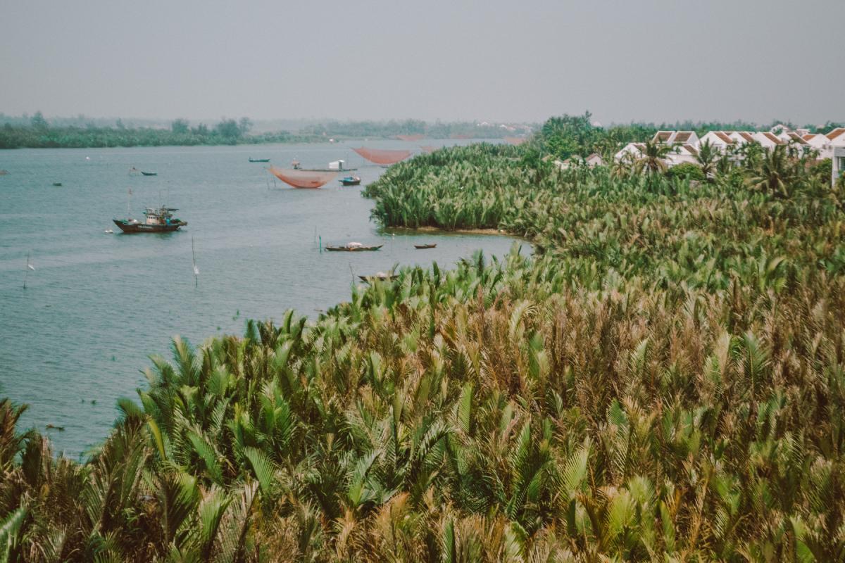 hoi an biking rice fields