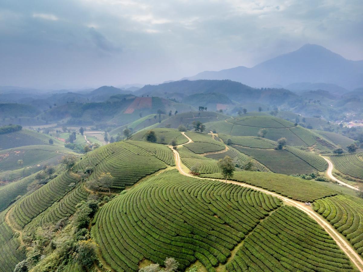 aerial view of a farm field