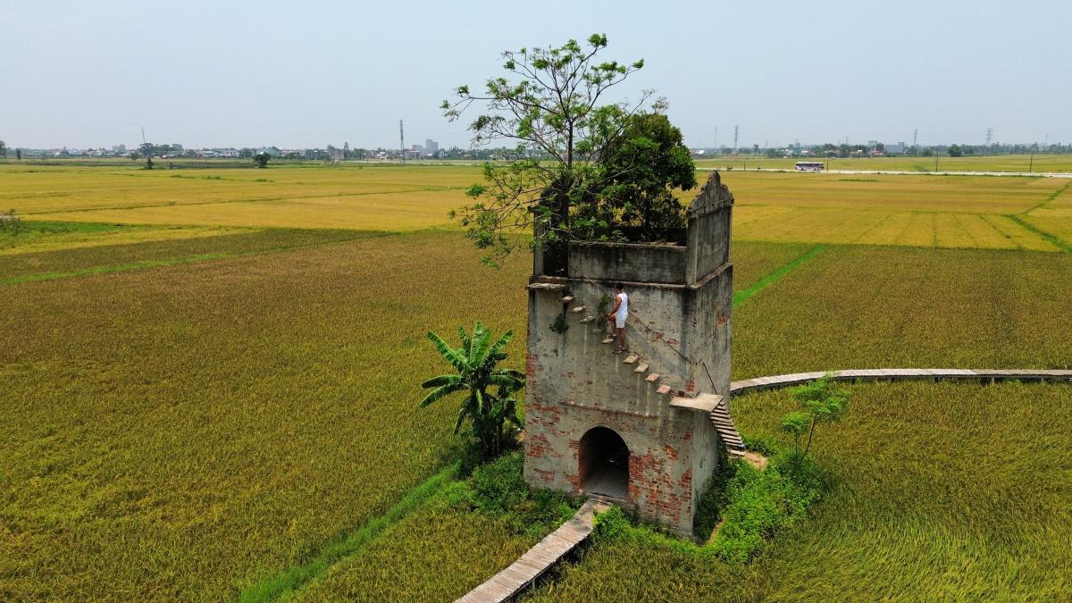 hoi an bike tour rice field vietnam fortress