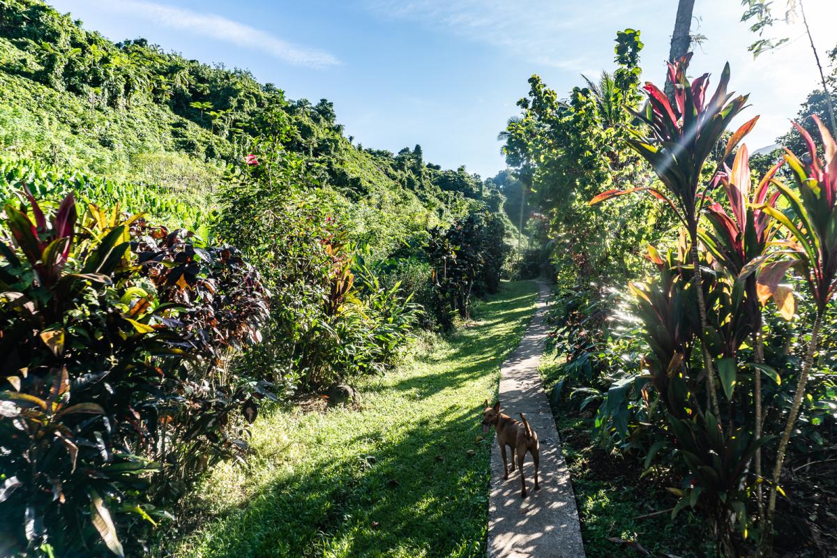 Bouma Waterfall of Taveuni