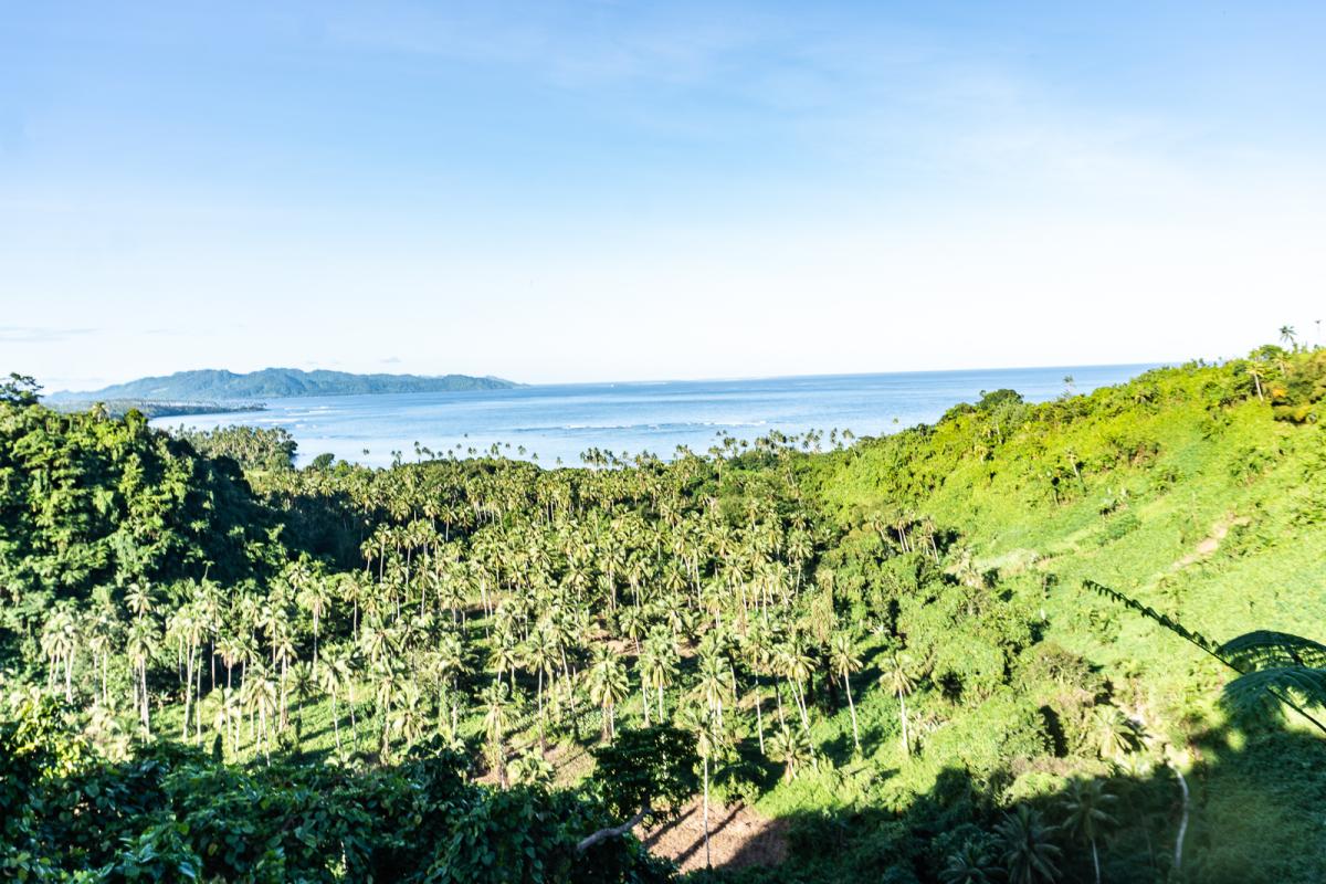 Taveuni island
